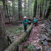 Review photo of Gunstock Campground by Greg S., July 8, 2022