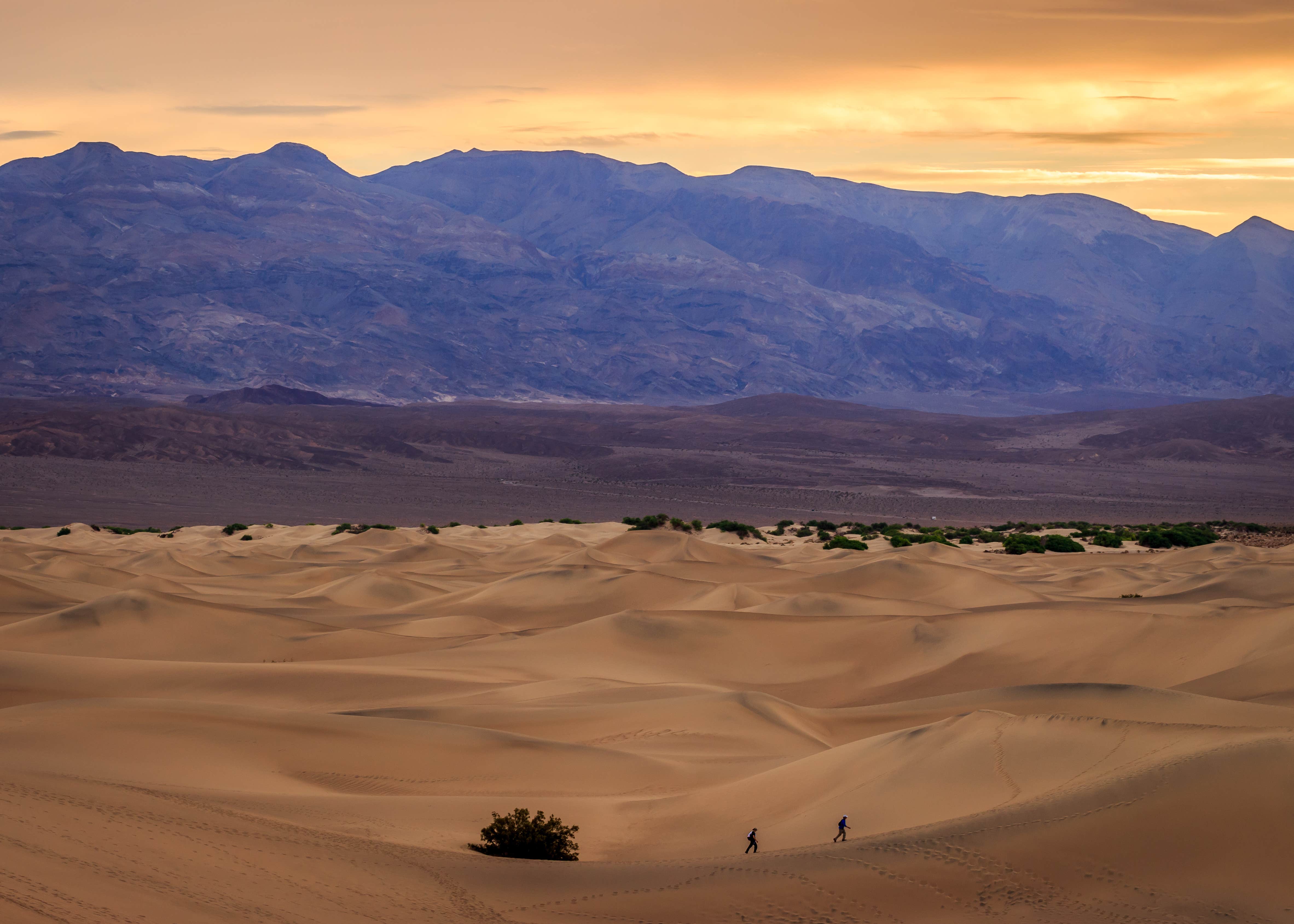 Camper submitted image from Texas Springs Campground — Death Valley National Park - 2