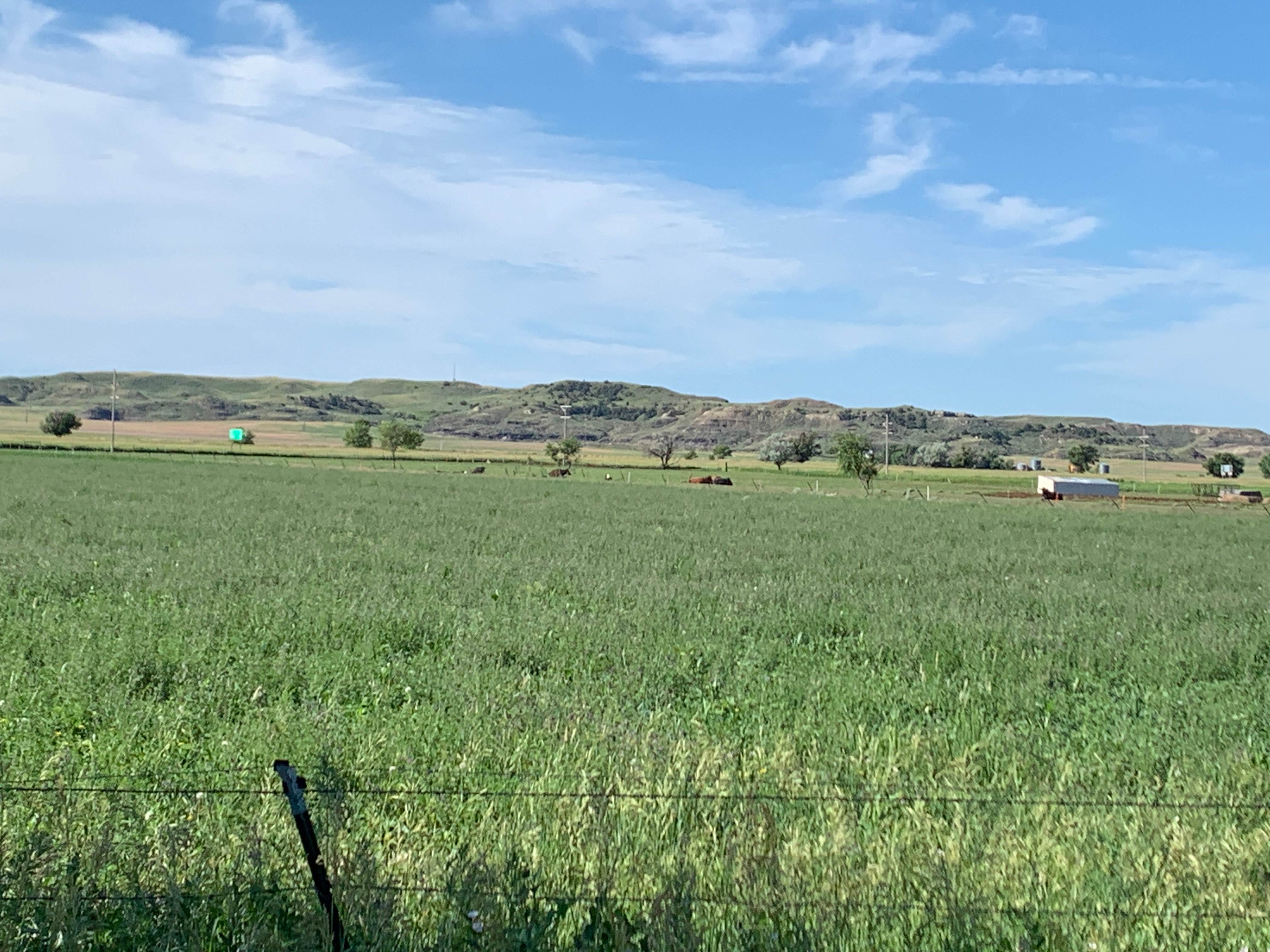 Camper-submitted photo at Small Towne RV Campground near Miles City, MT