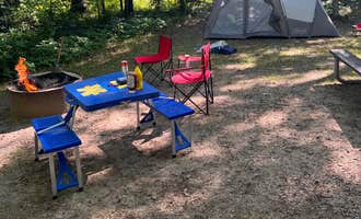 Camping near Shoepac Lake State Forest Campground: Ocqueoc Falls State Forest Campground, Millersburg, Michigan