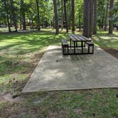 Review photo of Cagle Recreation Area by Daniel L., July 8, 2022