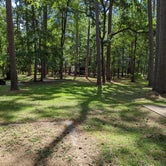 Review photo of Cagle Recreation Area by Daniel L., July 8, 2022