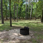 Review photo of Cagle Recreation Area by Daniel L., July 8, 2022