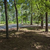 Review photo of Cagle Recreation Area by Daniel L., July 8, 2022