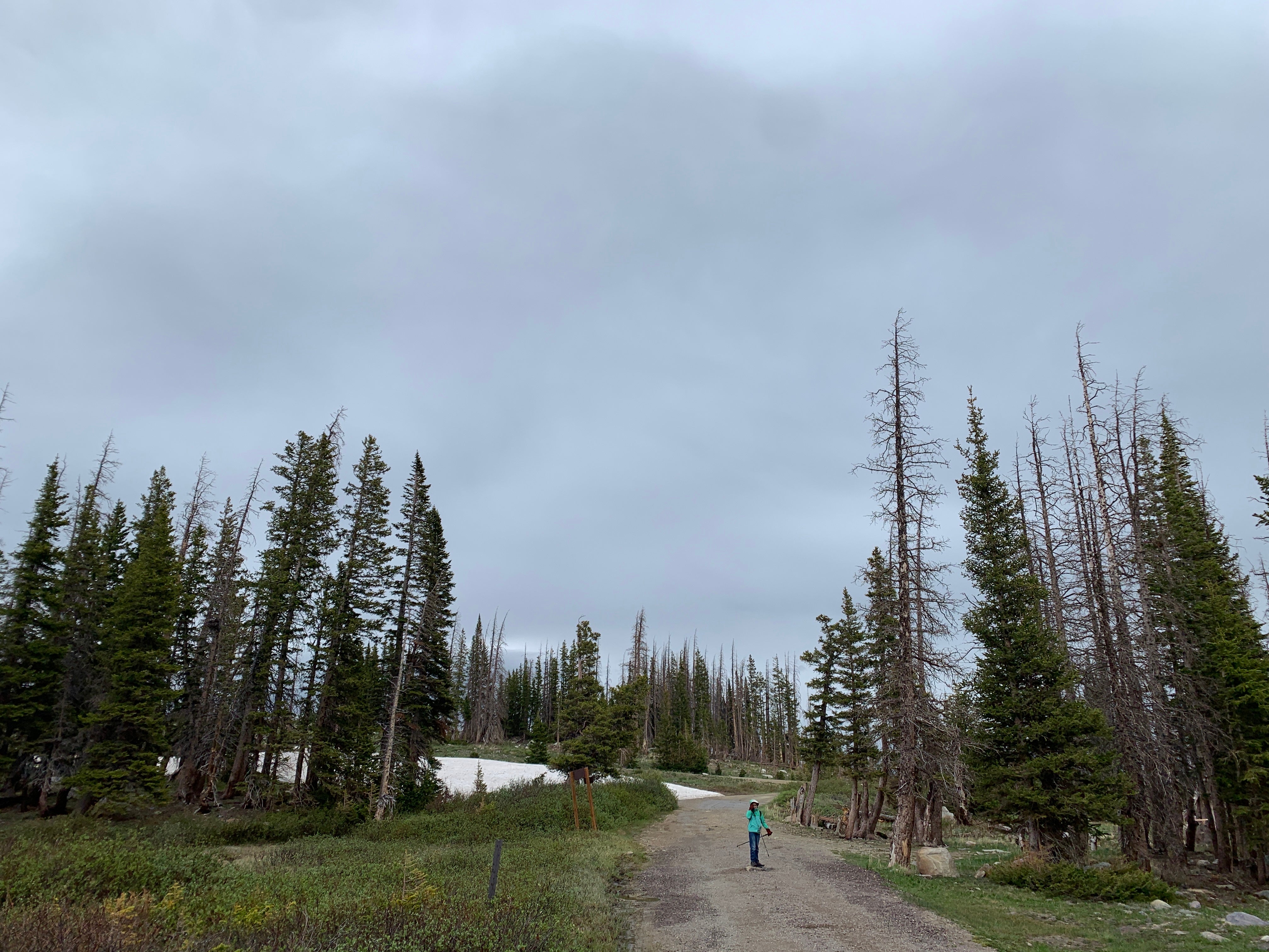 Camper submitted image from Nash Fork Campground - Medicine Bow-Routt National Forests & Thunder Basin National Grassland - 5