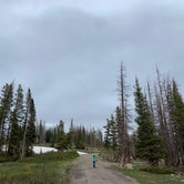 Review photo of Nash Fork Campground - Medicine Bow-Routt National Forests & Thunder Basin National Grassland by Jonathan , July 8, 2022