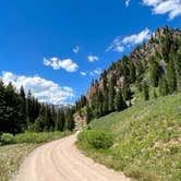 Review photo of Dispersed camping along Cliff Creek in Bridger-Teton National Forest by Jonathan , June 27, 2022