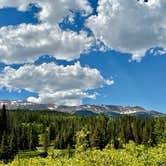 Review photo of Dispersed camping along Cliff Creek in Bridger-Teton National Forest by Jonathan , June 27, 2022