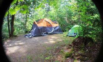 Camping near Nesowadnehunk Field Campground — Baxter State Park: Abol Bridge Campground & Store, Millinocket, Maine