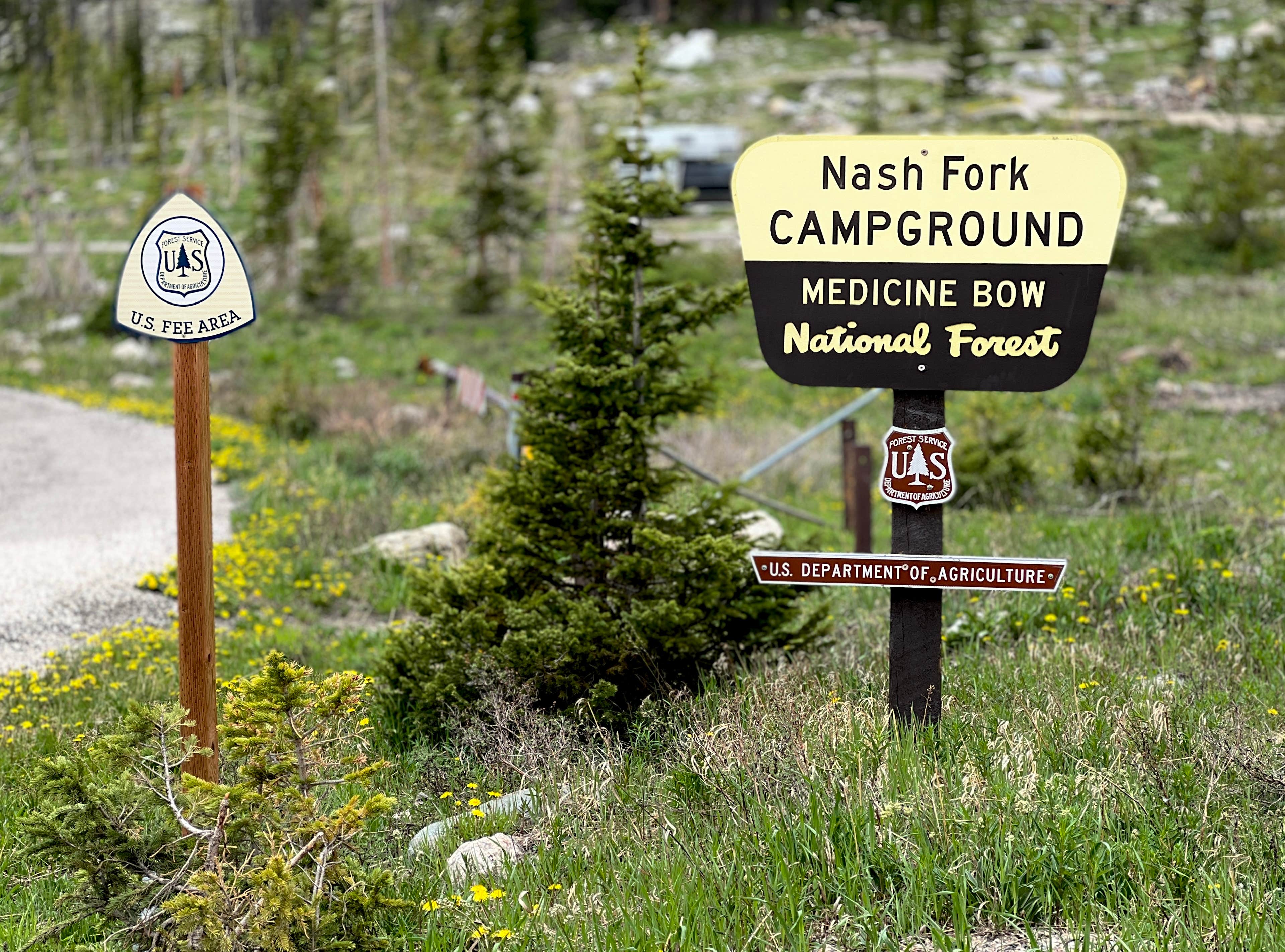 Camper-submitted photo at Nash Fork Campground near Medicine Bow-Routt NFs & Thunder Basin NG
