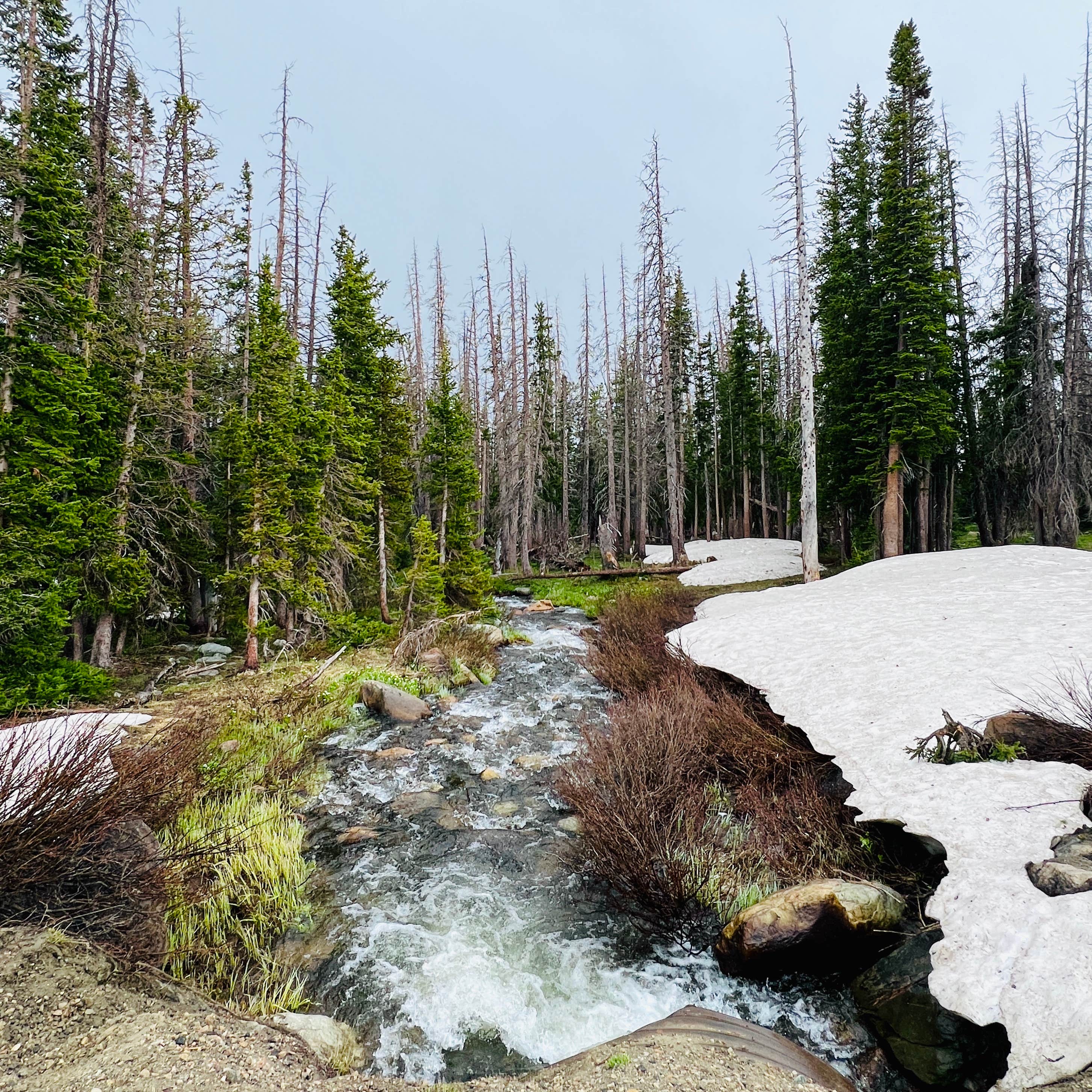 Nash Fork Campground Medicine BowRoutt National Forests & Thunder Basin National Grassland