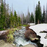 Review photo of Nash Fork Campground by Jonathan , July 8, 2022