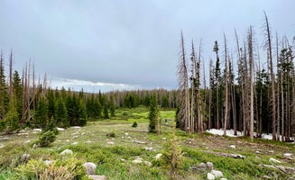Camper-submitted photo from Nash Fork Campground - Medicine Bow-Routt National Forests & Thunder Basin National Grassland