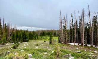 Nash Fork Campground - Medicine Bow-Routt National Forests & Thunder Basin National Grassland - CLOSED FOR 2023 SEASON