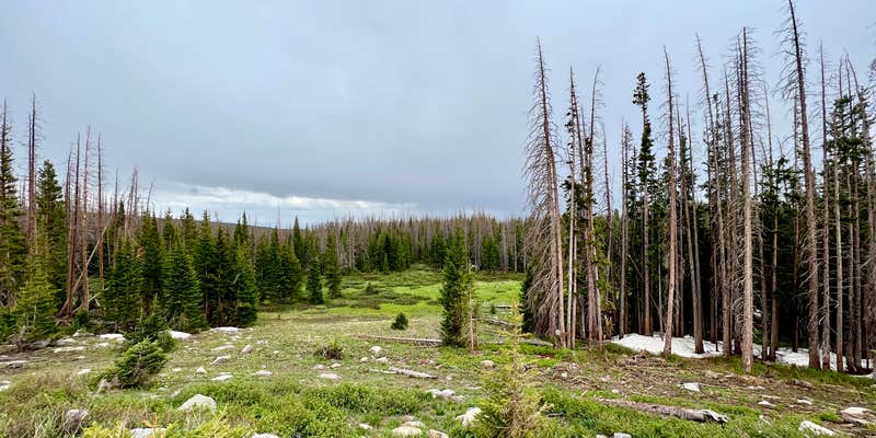 Camper submitted image from Nash Fork Campground