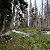 Review photo of Nash Fork Campground by Jonathan , July 8, 2022