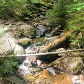 Review photo of Dry River — Crawford Notch State Park by Dani P., July 8, 2022