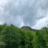 Review photo of Dry River — Crawford Notch State Park by Dani P., July 8, 2022