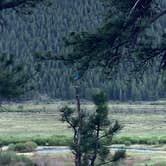 Review photo of Moraine Park Campground — Rocky Mountain National Park by Veronica S., July 8, 2022