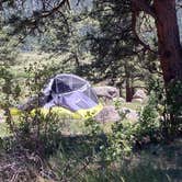 Review photo of Moraine Park Campground — Rocky Mountain National Park by Veronica S., July 8, 2022