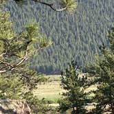 Review photo of Moraine Park Campground — Rocky Mountain National Park by Veronica S., July 8, 2022