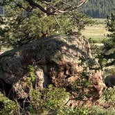 Review photo of Moraine Park Campground — Rocky Mountain National Park by Veronica S., July 8, 2022