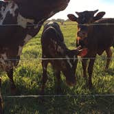 Review photo of Westgate River Ranch Resort & Rodeo by Susan K., July 18, 2018