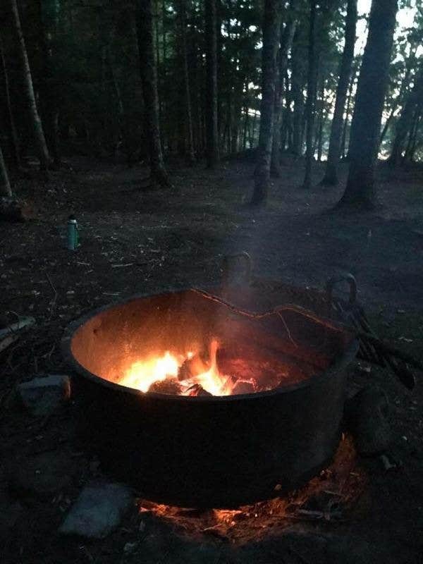 Camper submitted image from Turtle Flambeau Scenic Waters Area - 3