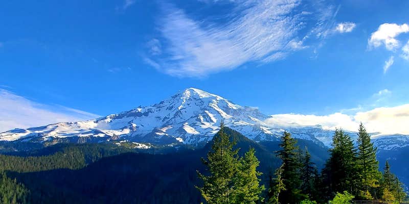 Camper submitted image from Cougar Park & Campground - Tent Only