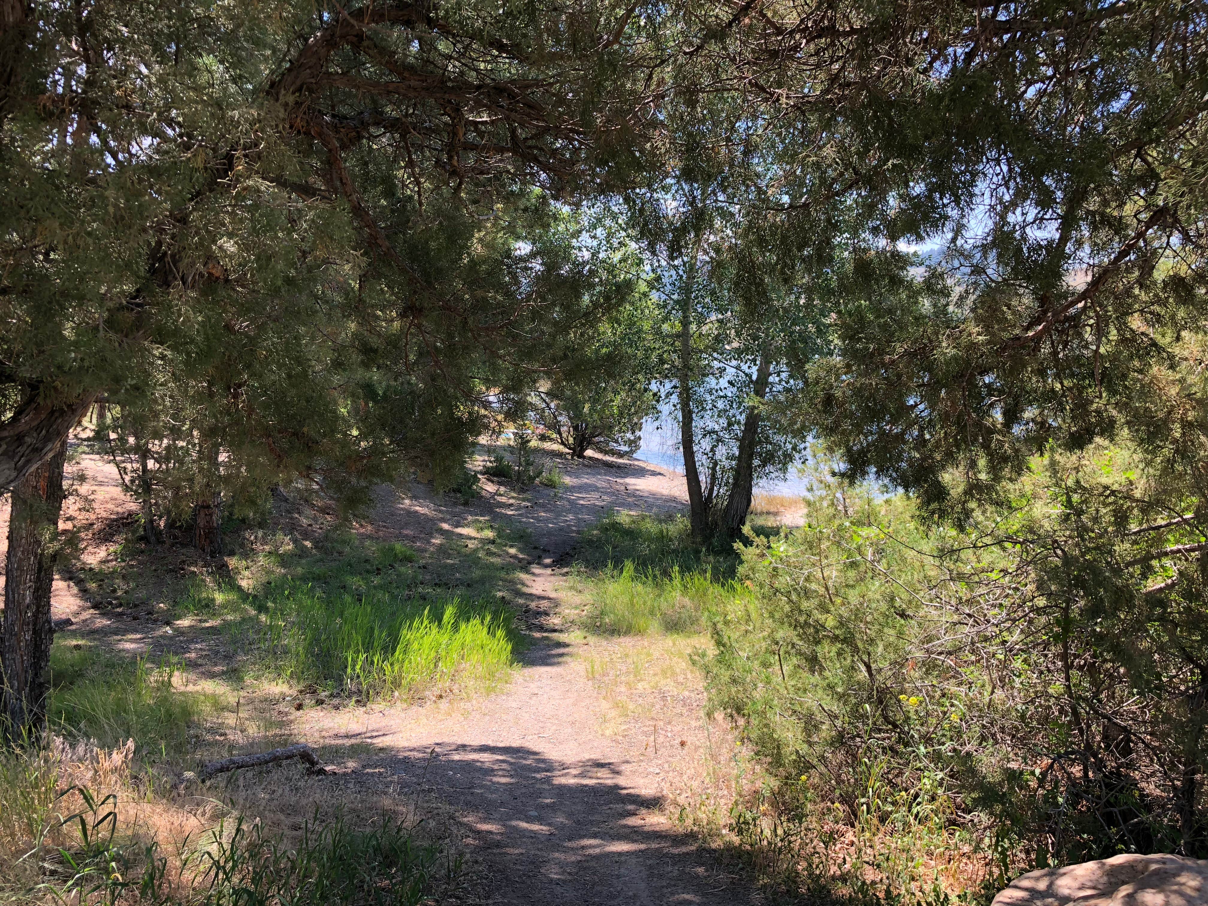 Camper-submitted photo at Court Sheriff Campground near Helena National Forest