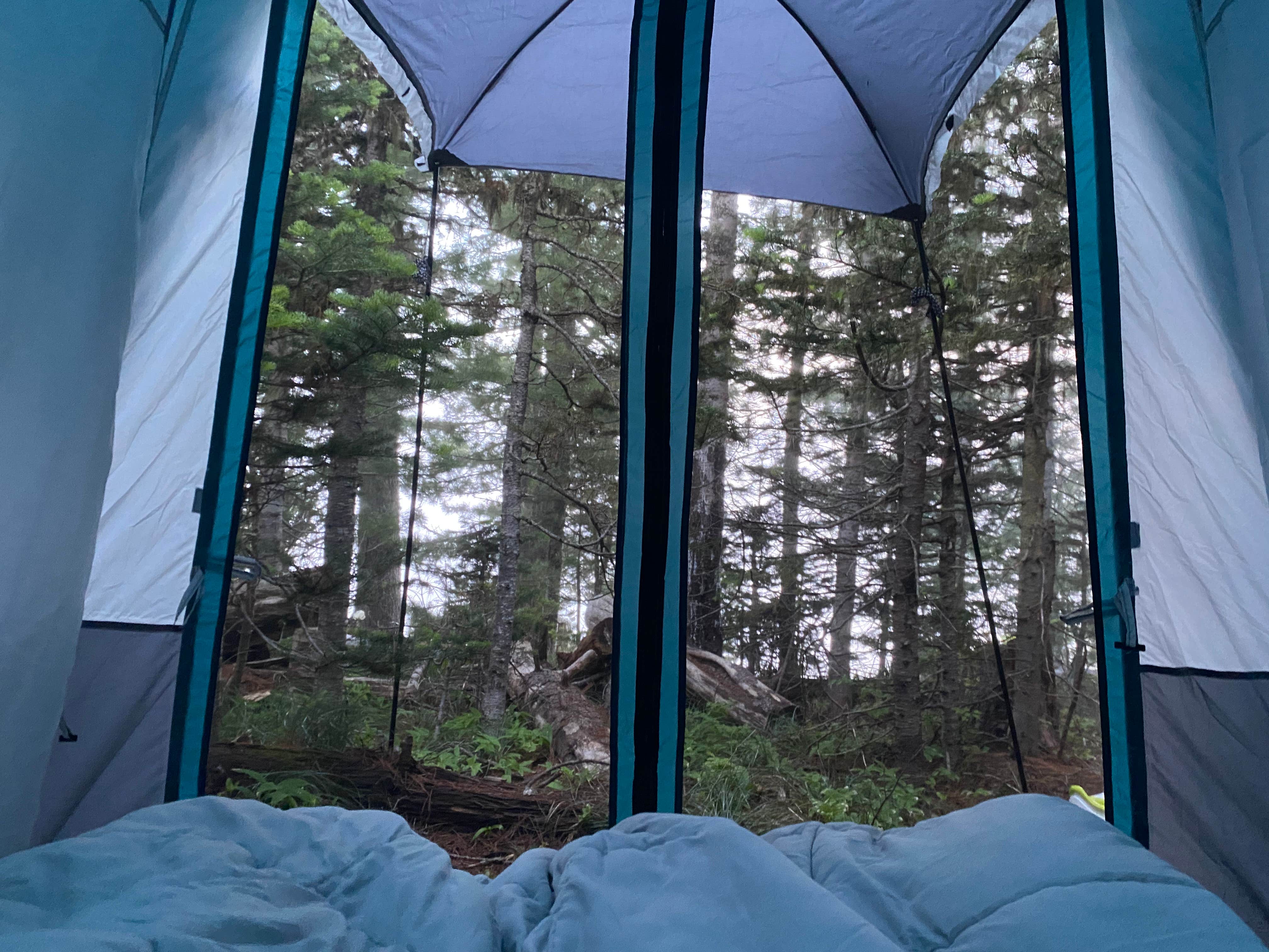Camper submitted image from Big Lake - 3