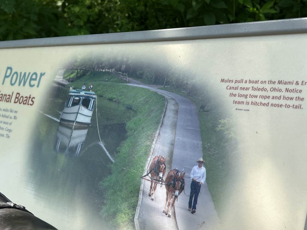 Camper submitted image from Woodside Lake Park - 5