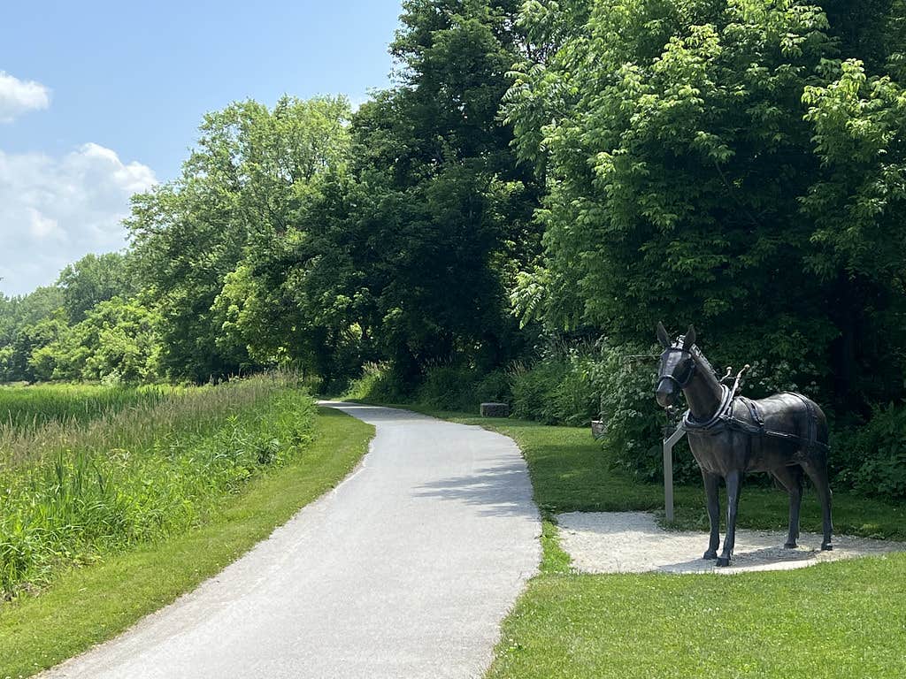 Camper submitted image from Woodside Lake Park - 3