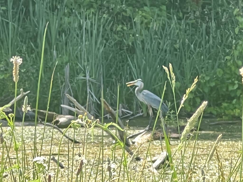 Camper-submitted photo at Woodside Lake Park near Beachwood, OH