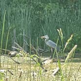 Review photo of Woodside Lake Park by Duncan G., July 8, 2022