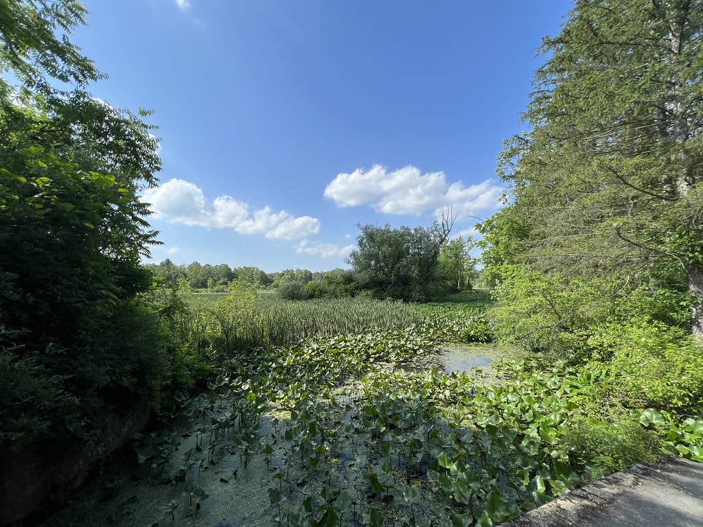 Camper-submitted photo at Woodside Lake Park near Beachwood, OH
