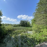 Review photo of Woodside Lake Park by Duncan G., July 8, 2022