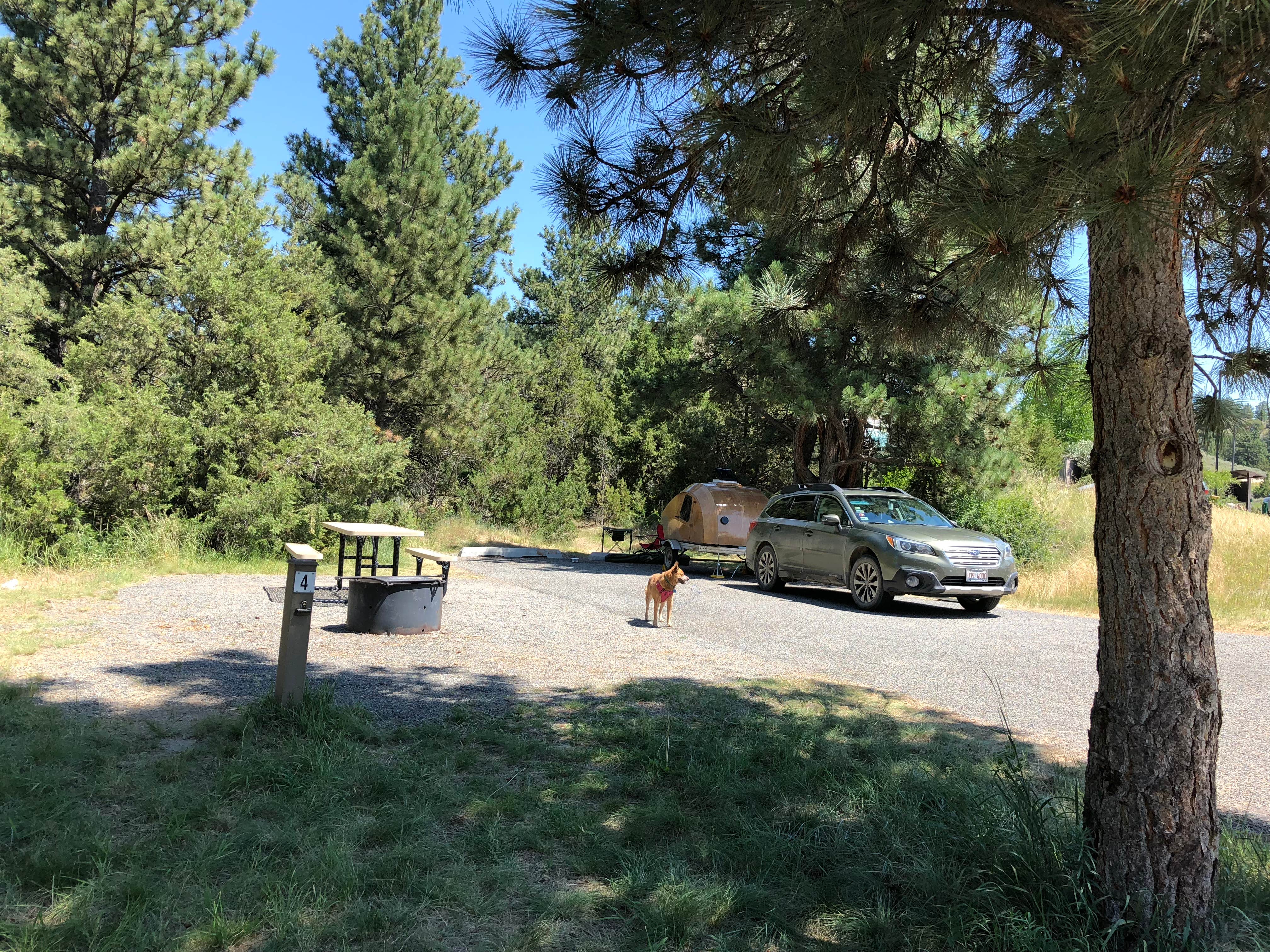 Camper-submitted photo at Court Sheriff Campground near Helena National Forest