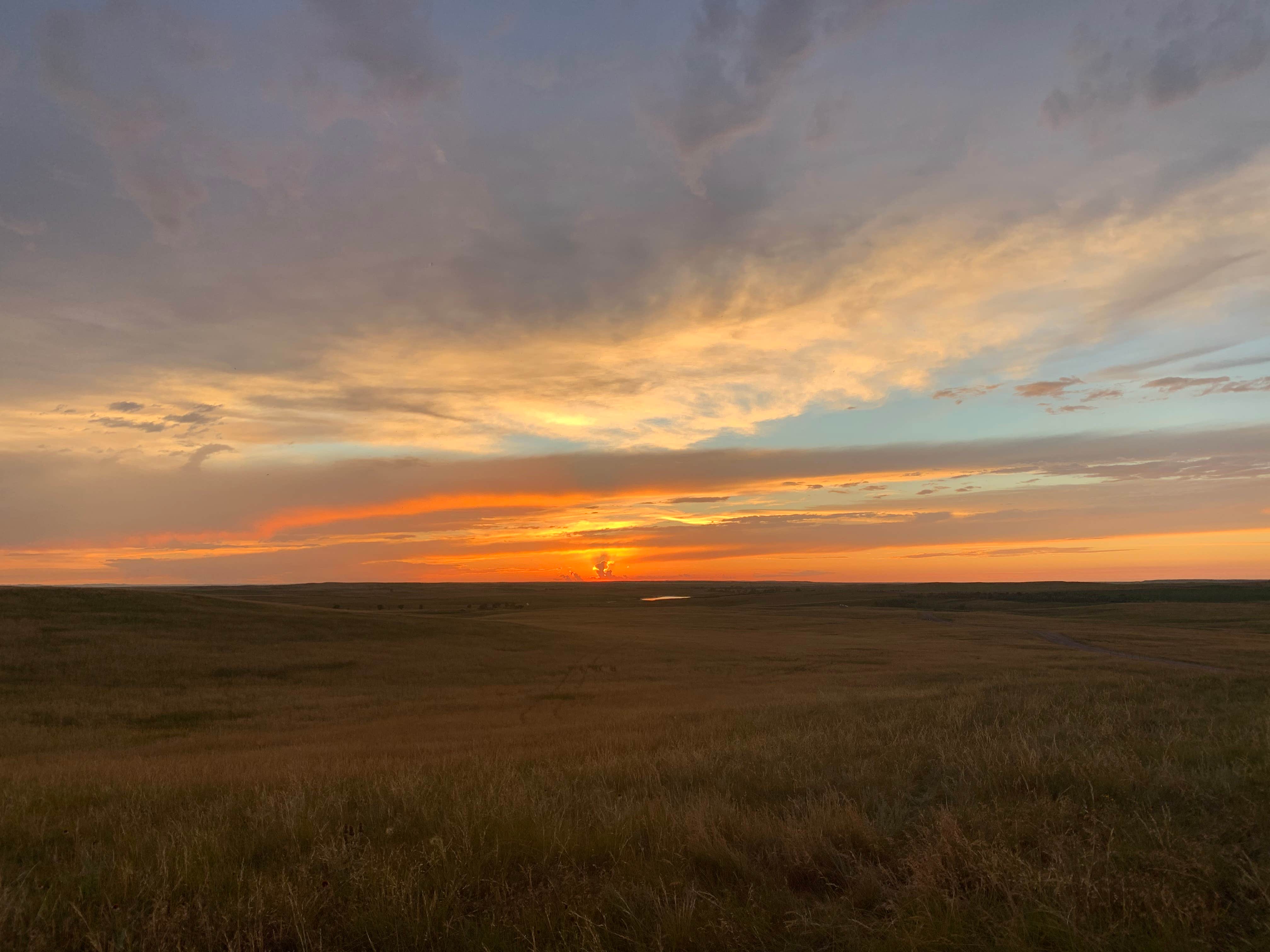 Sigrid O.'s photo of a dispersed camping area at Buffalo Gap National Grassland near Badlands National Park