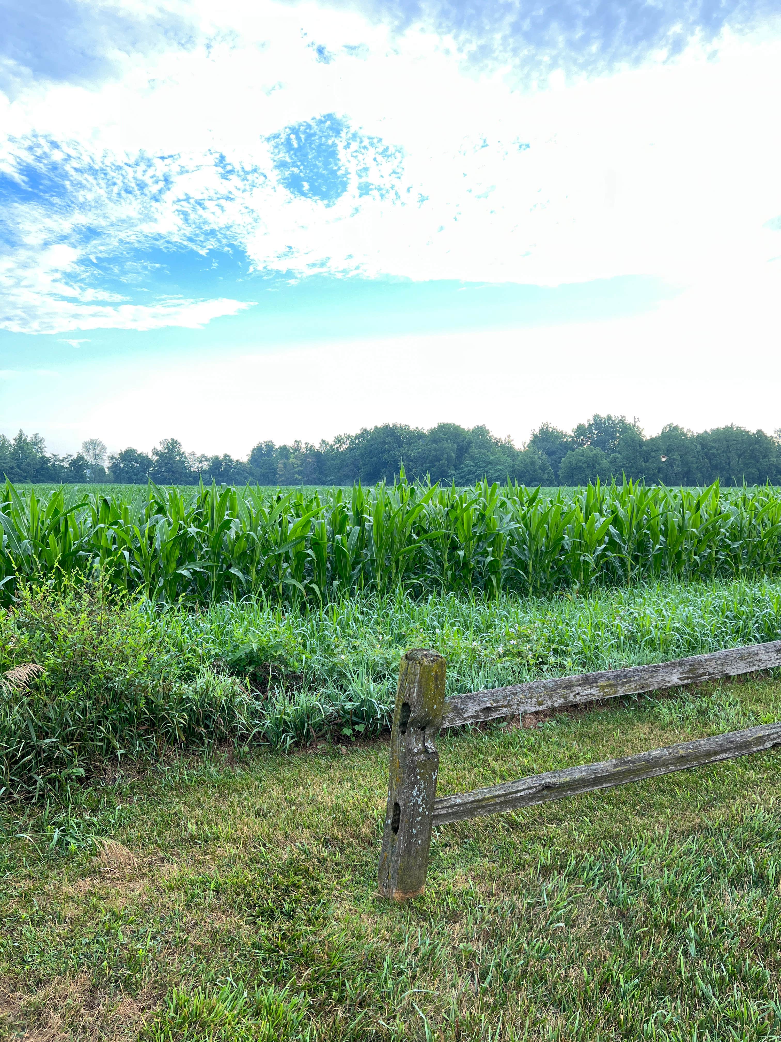 Camper-submitted photo at Grandview Bend Family Campground near Sturgis, MI