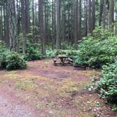 Review photo of Rhododendron Campground by allison W., July 8, 2022