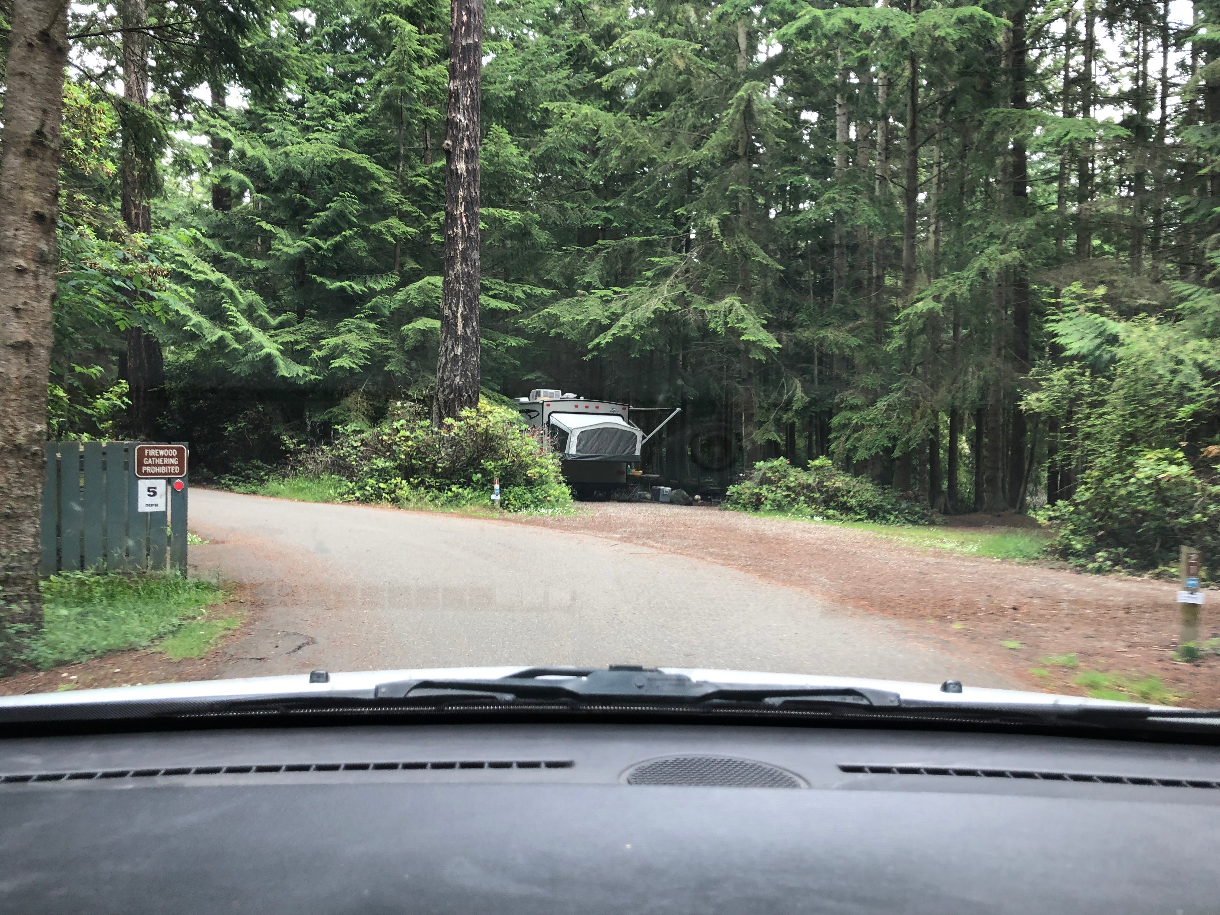 Camper submitted image from Rhododendron Campground - 4