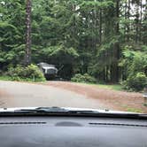 Review photo of Rhododendron Campground by allison W., July 8, 2022