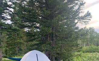 Daniela S.'s photo at Buffalo Pass Dispersed near Coalmont, CO