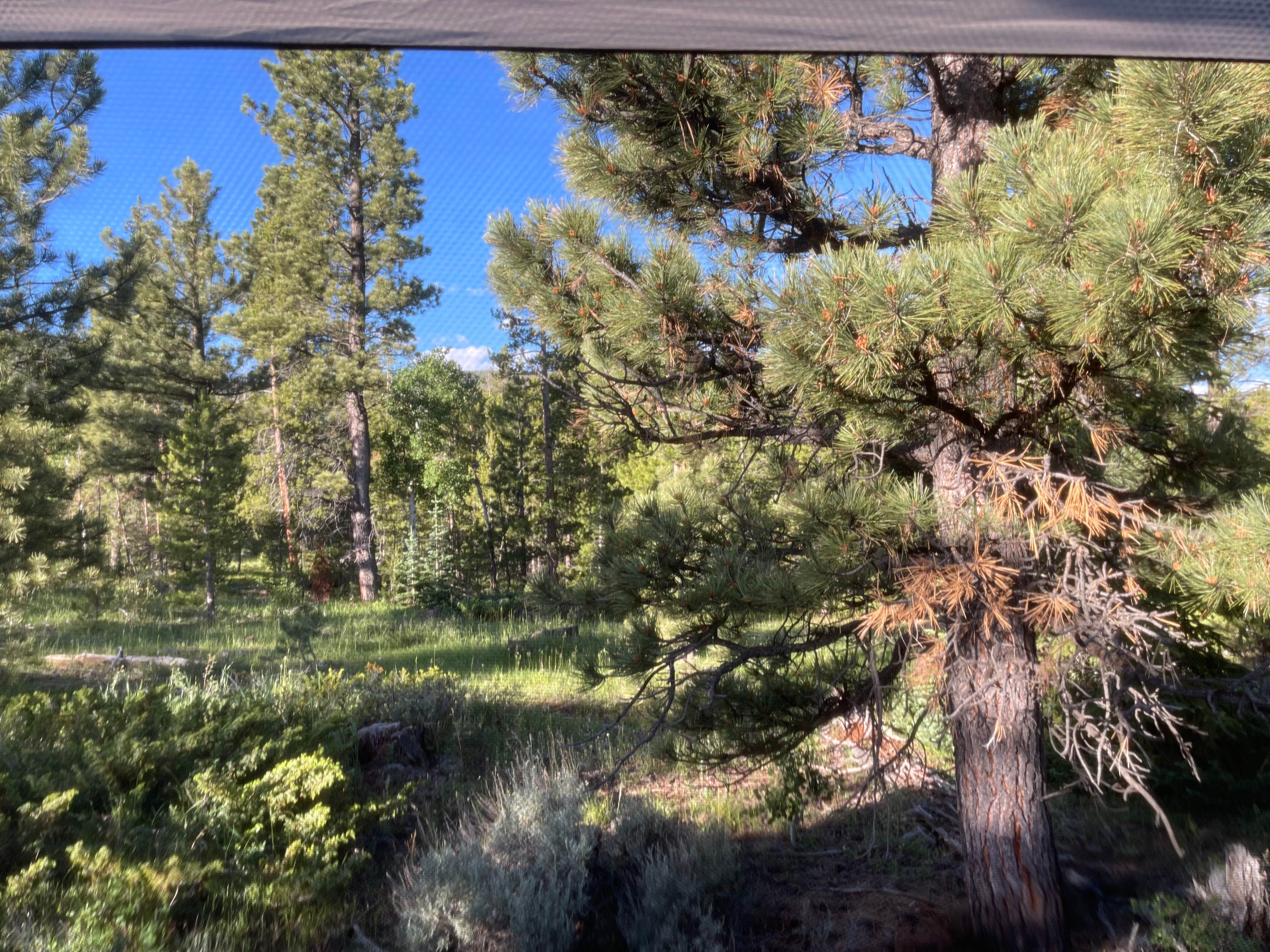 Camper-submitted photo at Utah Forest Road 13 Dispersed Camping near Manila, UT