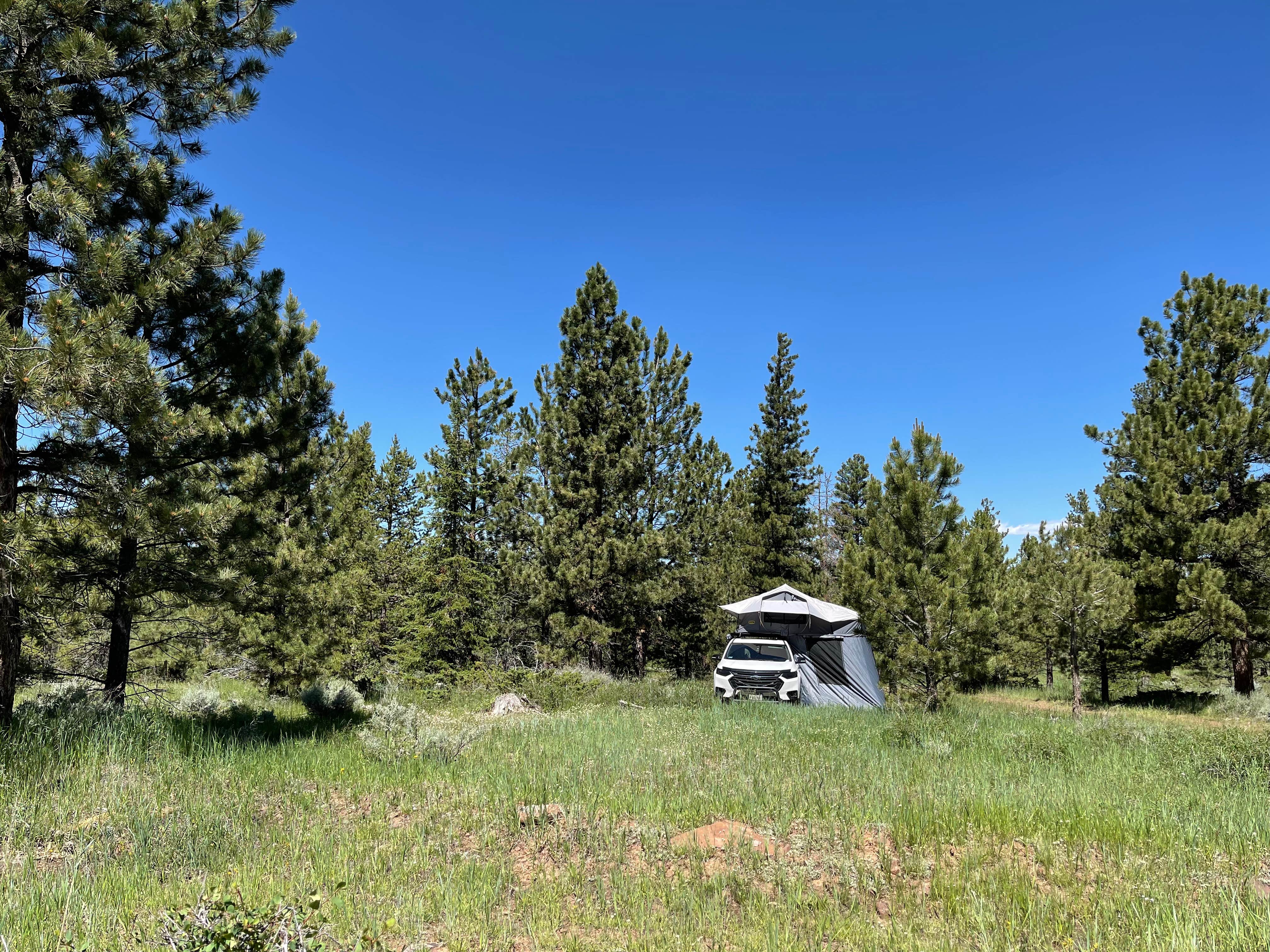 Camper-submitted photo at Utah Forest Road 13 Dispersed Camping near Manila, UT