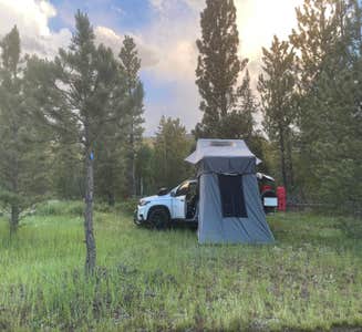 Camper-submitted photo from Utah Forest Road 13 Dispersed Camping