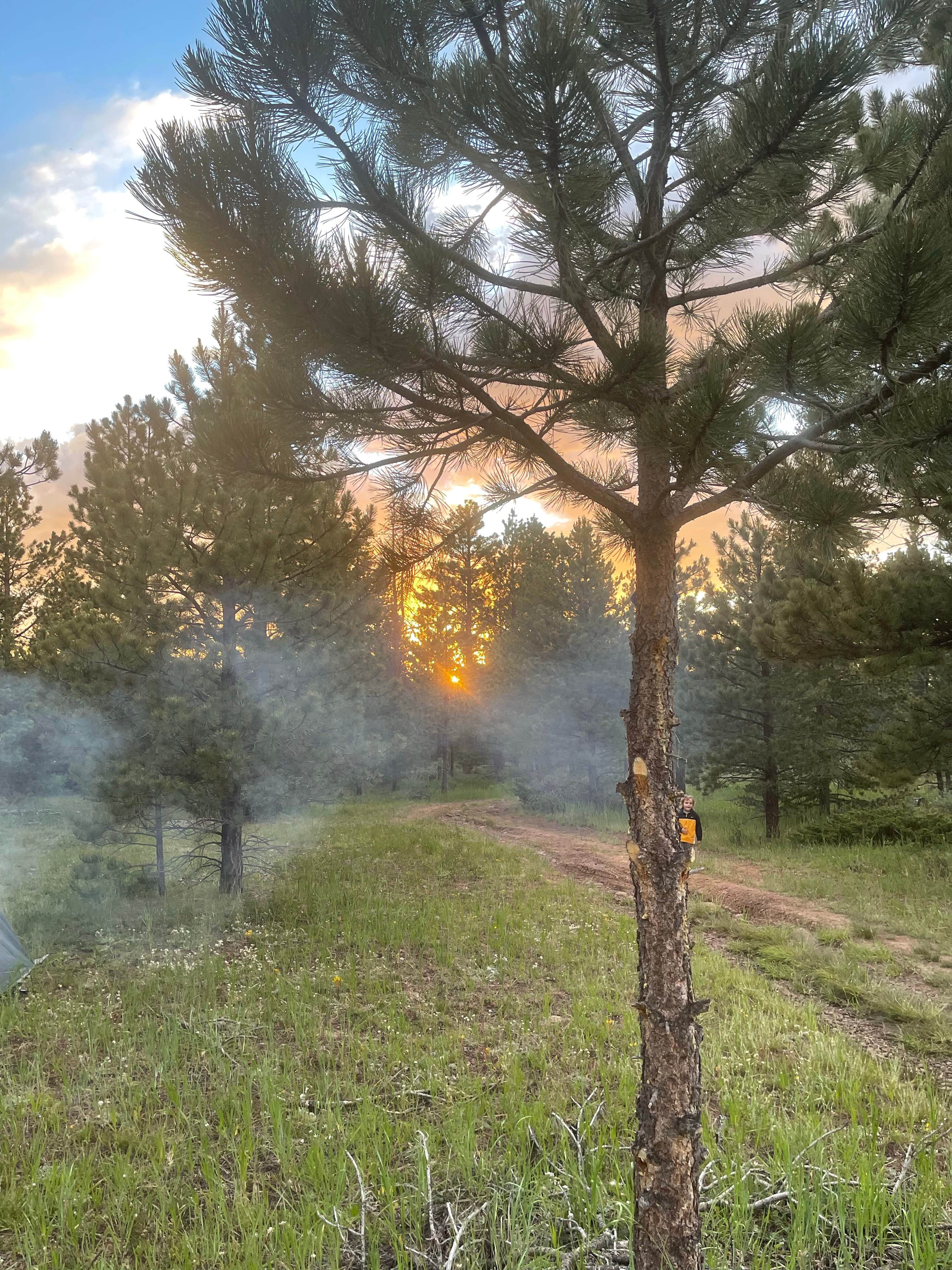 Camper-submitted photo at Utah Forest Road 13 Dispersed Camping near Manila, UT