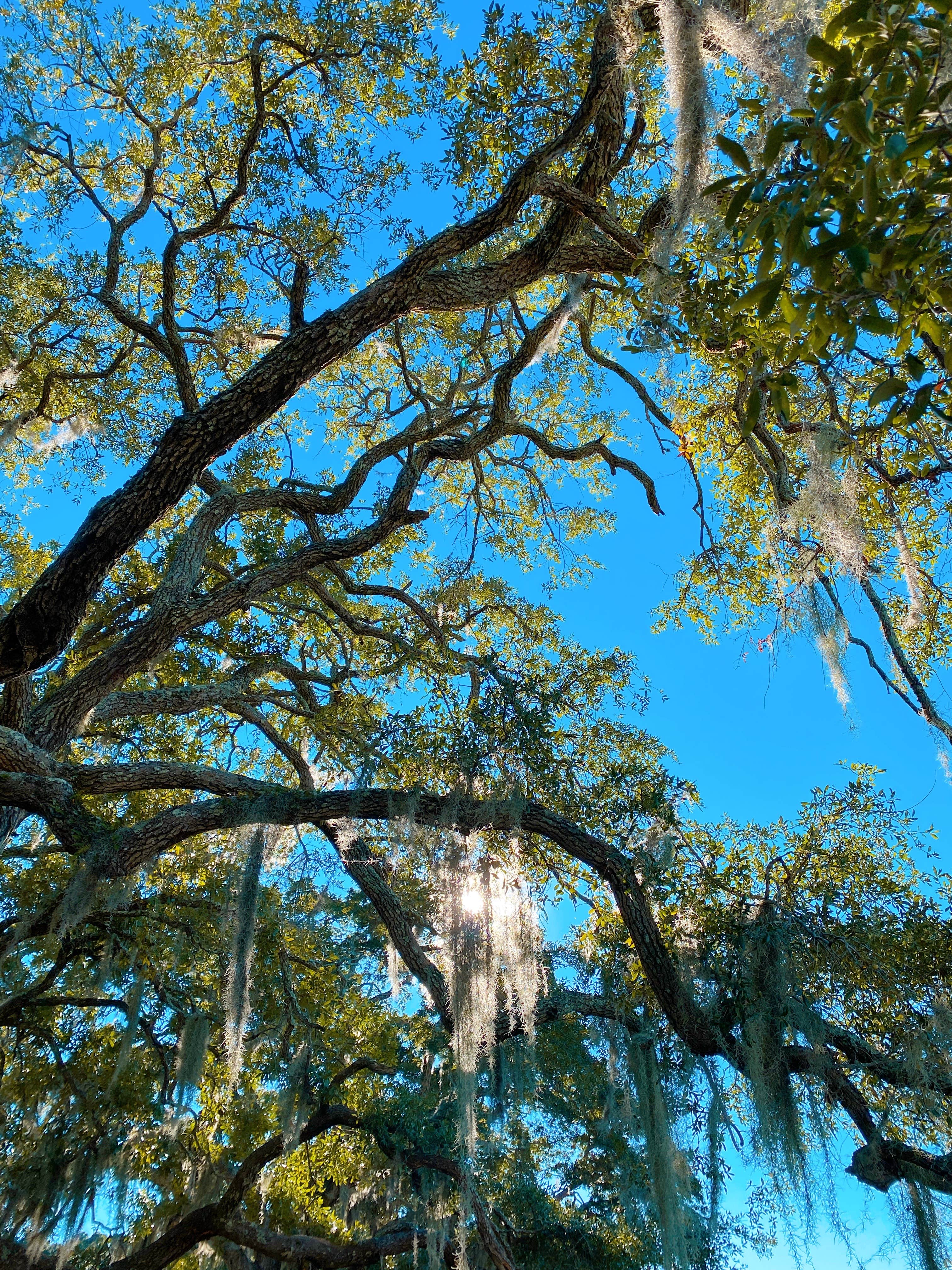 Camper-submitted photo at Hilton Head Harbor near Beaufort, SC
