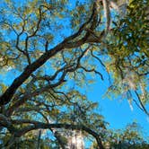 Review photo of Hilton Head Harbor by Susan & Kevin W., July 8, 2022